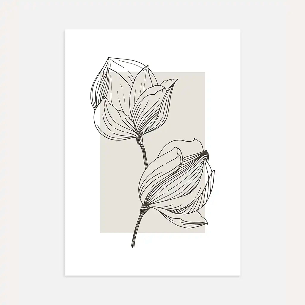 Magnolia Botanical Line Poster