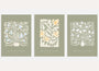 botanical ornament poster set wall art for living room decor
