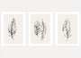 feather sketch poster set of 3 black beige minimalist wall art for bedroom decor