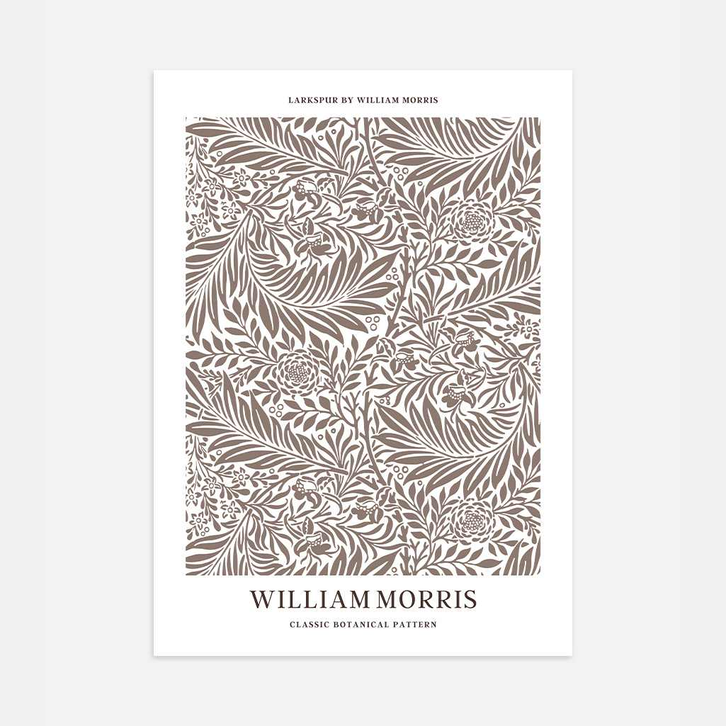 Poster – Speronella Botanica